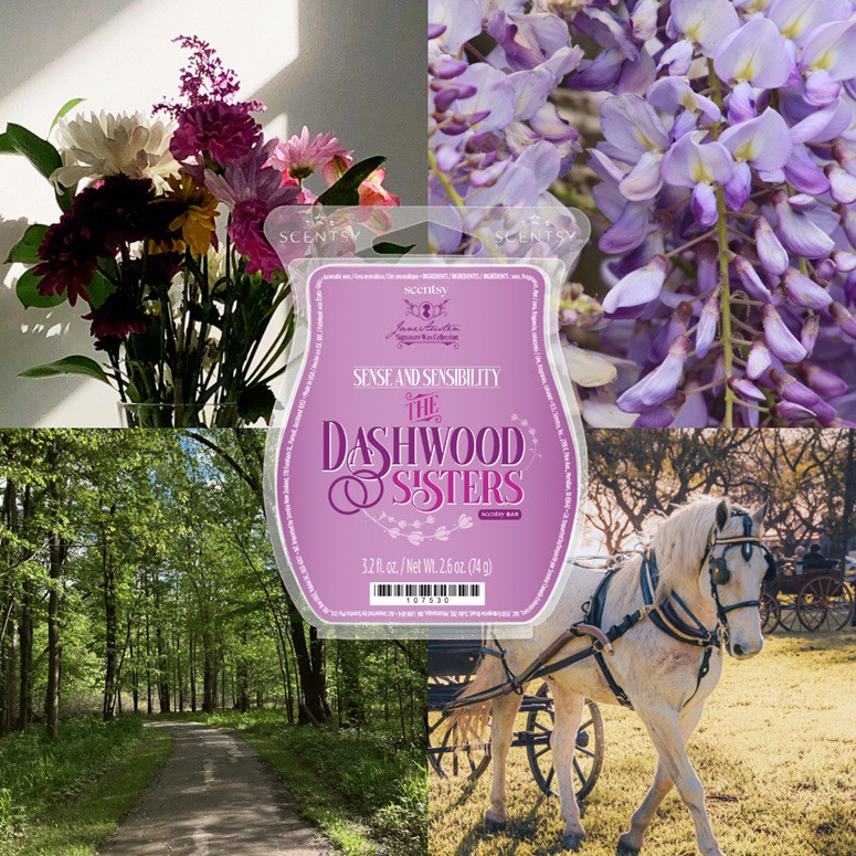 Sense and Sensibility: The Dashwood Sisters Scentsy Bar