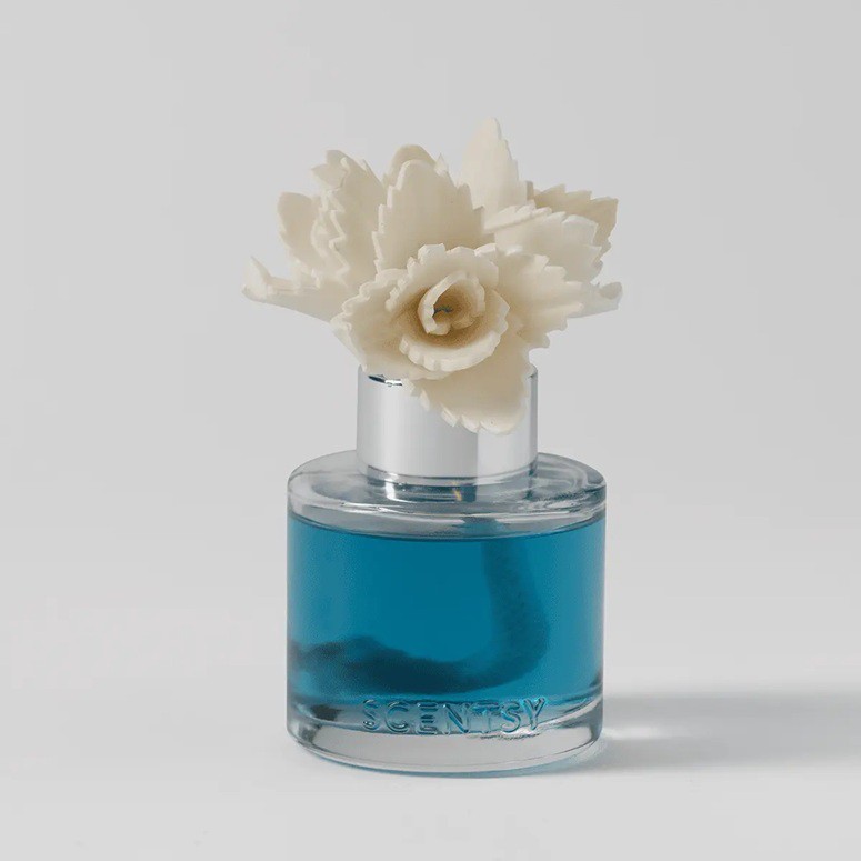 Serene Succulent Scentsy Fragrance Flower Stylized