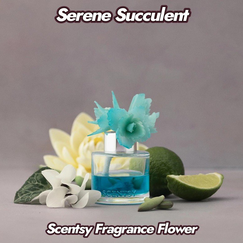 Serene Succulent Scentsy Fragrance Flower