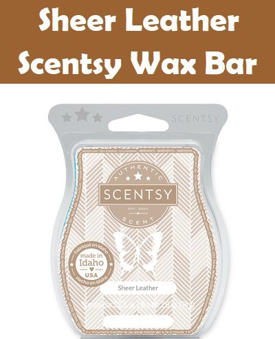 Sheer Leather Scentsy Bar