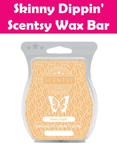 Skinny Dippin Scentsy Bar Skinny Dippin Scentsy Bar