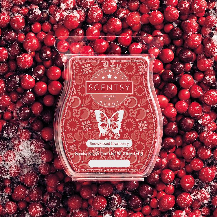 Snowkissed Cranberry Scentsy Wax Bar