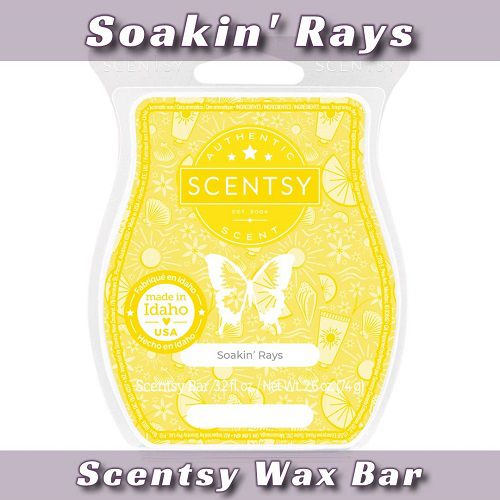 Soakin' Rays Scentsy Bar
