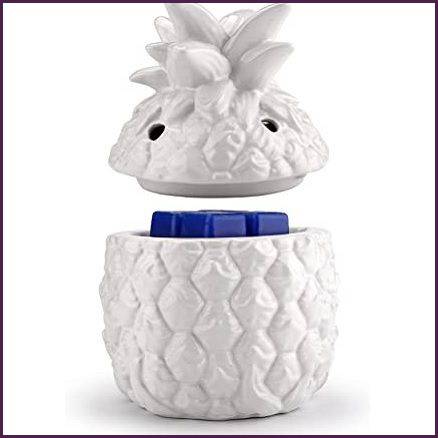 Southern Hospitality Scentsy Warmer Clear