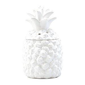 Southern Hospitality Scentsy Warmer