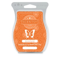 Southern Sweet Tea Scentsy Bar