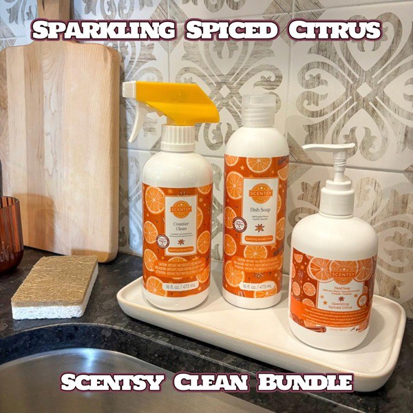 Sparkling Spiced Citrus Clean Scentsy Bundle