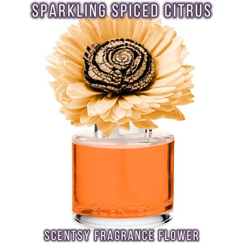 Sparkling Spiced Citrus Scentsy Fragrance Flower Sparkling Spiced Citrus Scentsy Fragrance Flower