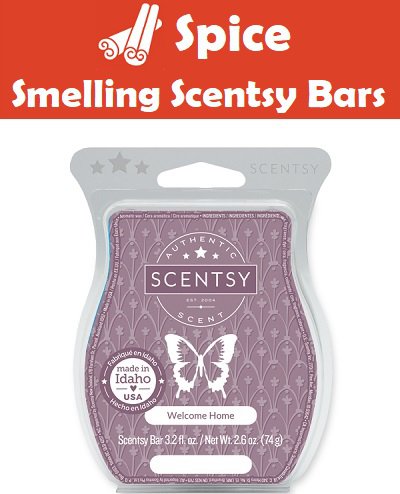 Spice Scentsy Bars