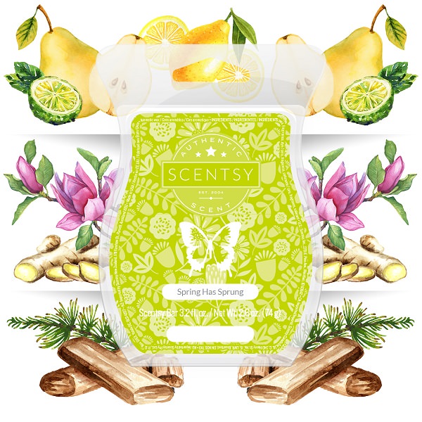 Spring Has Sprung Scentsy Wax Bar