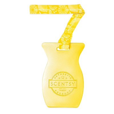 Squeeze the Day Scentsy Car Bar