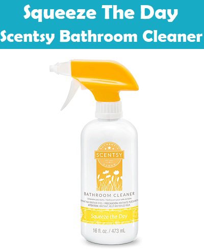 Squeeze The Day Scentsy Bathroom Cleaner