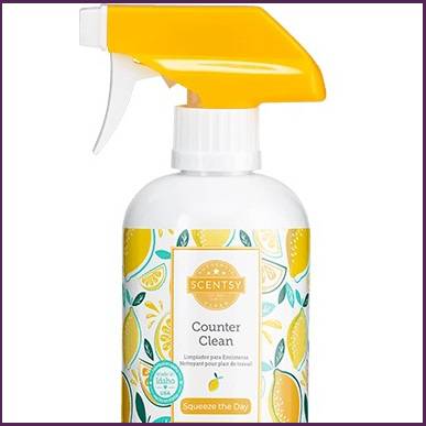 Squeeze The Day Scentsy Counter Cleaner Top