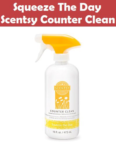 Squeeze The Day Scentsy Counter Cleaner
