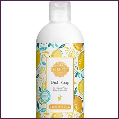 Squeeze The Day Scentsy Dish Soap Top