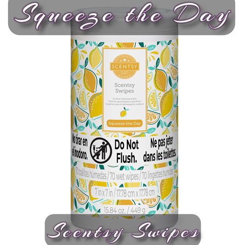 Squeeze the Day Scentsy Swipes