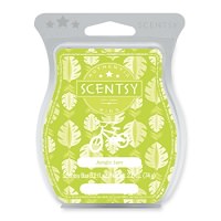Starfruit and Pear Nectar Fragrance Bar