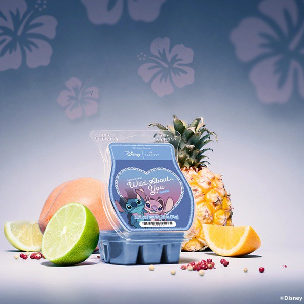 Disney Stitch and Angel: Wild About You Scentsy Bar