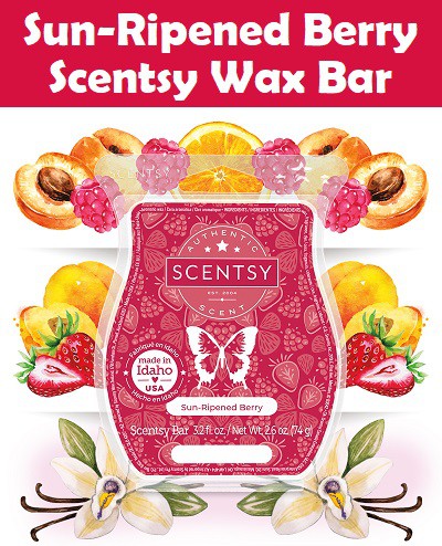 Sun-Ripened Berry Scentsy Bar