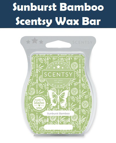 Scentsy Scent Of The Month - February 2022