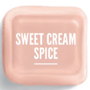 Sweet Cream Spice Scentsy Bar