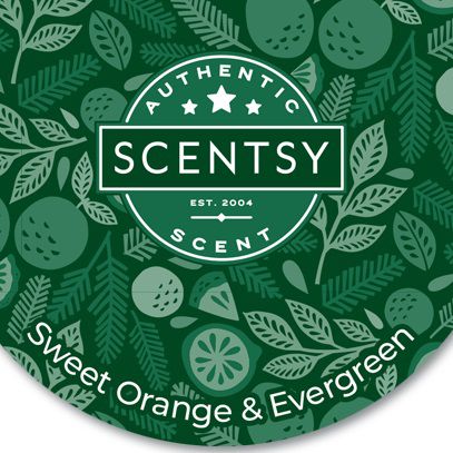 Sweet Orange and Evergreen Scentsy Scent Circle | Close Up