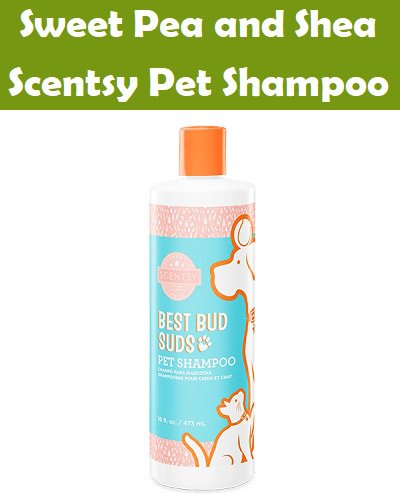 Sweet Pea and Shea Scentsy Pet Shampoo