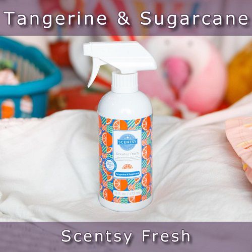 Tangerine and Sugarcane Scentsy Fresh