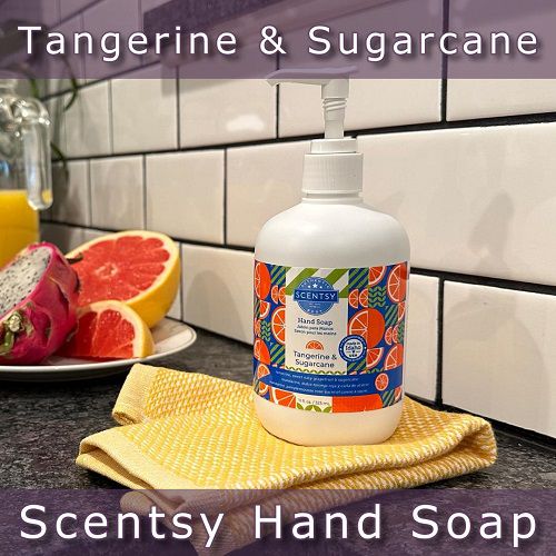 Tangerine and Sugarcane Scentsy Hand Soap