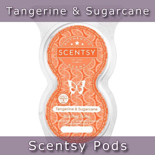 Tangerine and Sugarcane Scentsy Pods