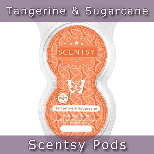 Tangerine and Sugarcane Scentsy Pods Tangerine and Sugarcane Scentsy Pods