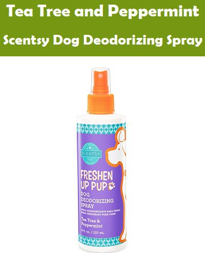 Tea Tree and Peppermint Scentsy Dog Deodorizing Spray