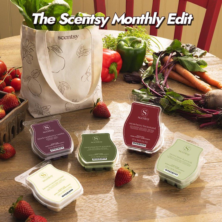 The Scentsy Monthly Edit The Scentsy Monthly Edit