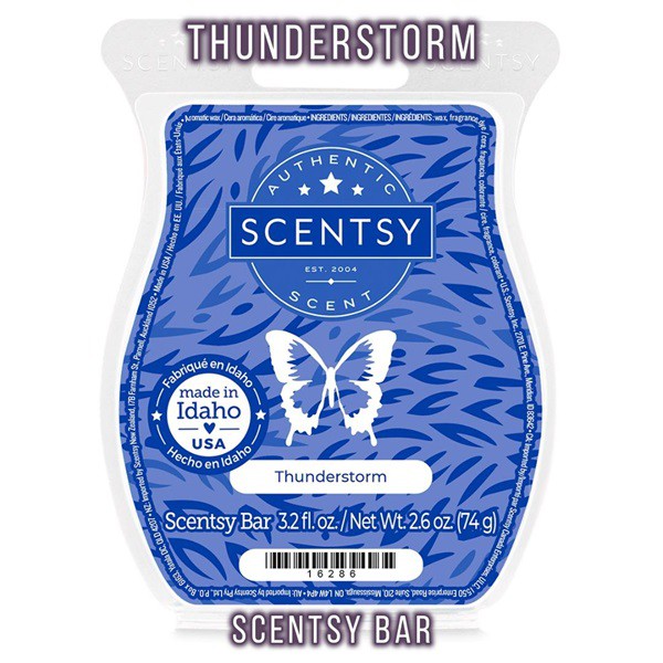 Thunderstorm Scentsy Bar