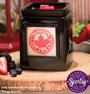 The Scentsy Warmer Of The Month For June 2014 - True North