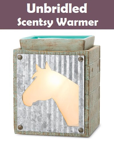 Unbridled Scentsy Warmer