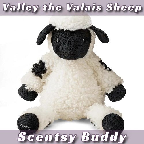 Valley the Valais Sheep Scentsy Buddy | Stock