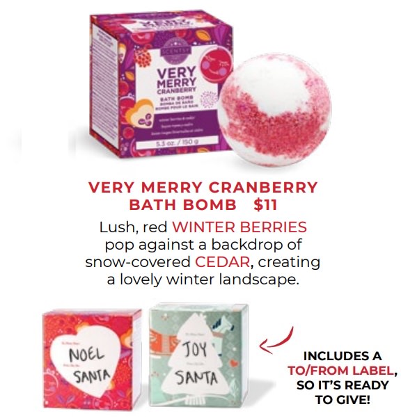 Very Merry Cranberry Scentsy Bath Bomb