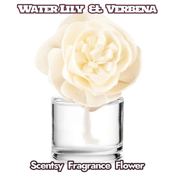 Water Lily & Verbena Scentsy Fragrance Flower