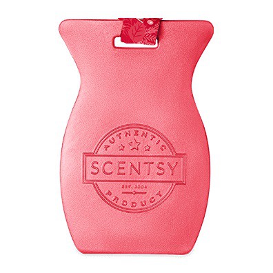 Watermelon Tangerine Scentsy Car Bar