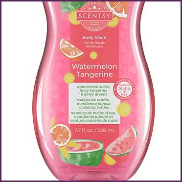 Watermelon Tangerine Scentsy Body Wash Lower