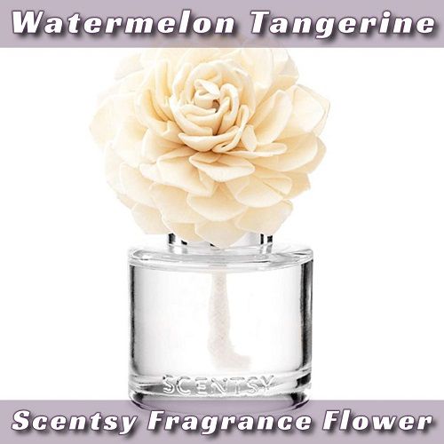 Watermelon Tangerine Scentsy Fragrance Flower Tanya Charette