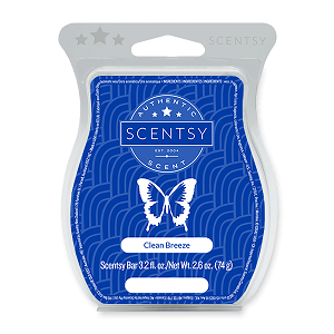 Waves and Wonder Scentsy Bar Waves and Wonder Scentsy Bar