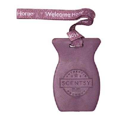 Welcome Home Scentsy Car Bars