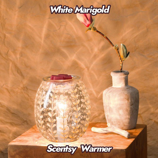 White Marigold Scentsy Warmer