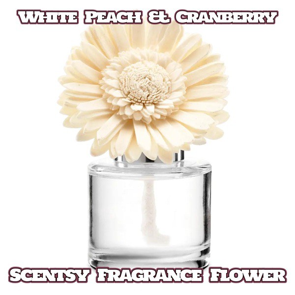 White Peach & Cranberry Scentsy Fragrance Flower