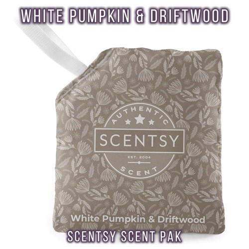 White Pumpkin and Driftwood Scentsy Scent Pak