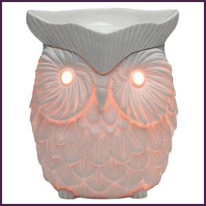 Whoot Scentsy Warmer Stock