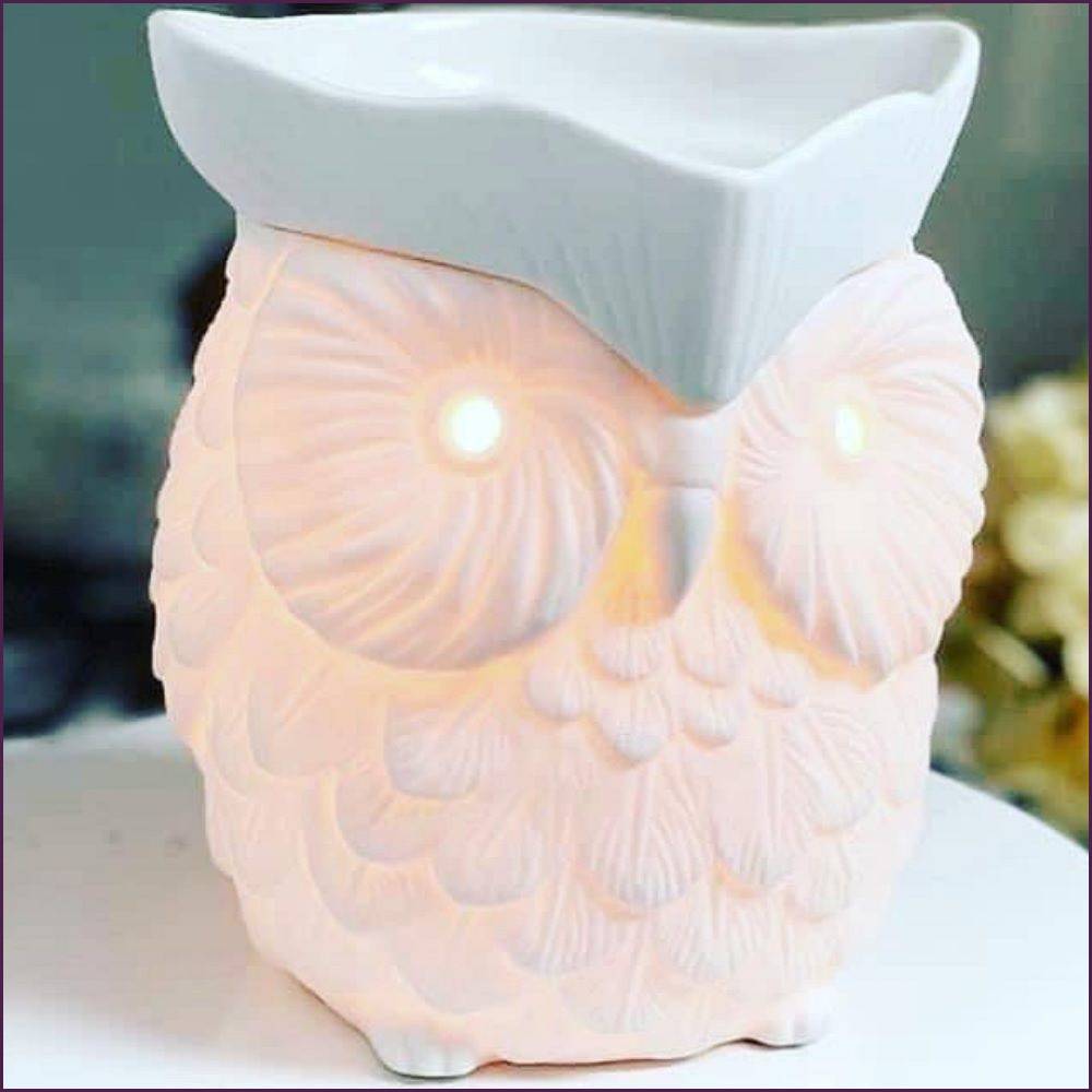 Whoot Scentsy Warmer