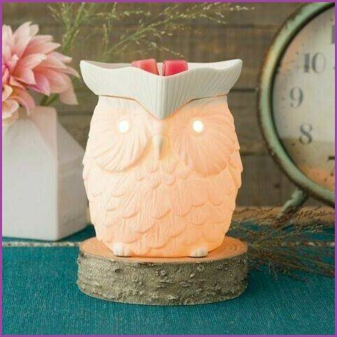 Whoot Scentsy Warmer Alt